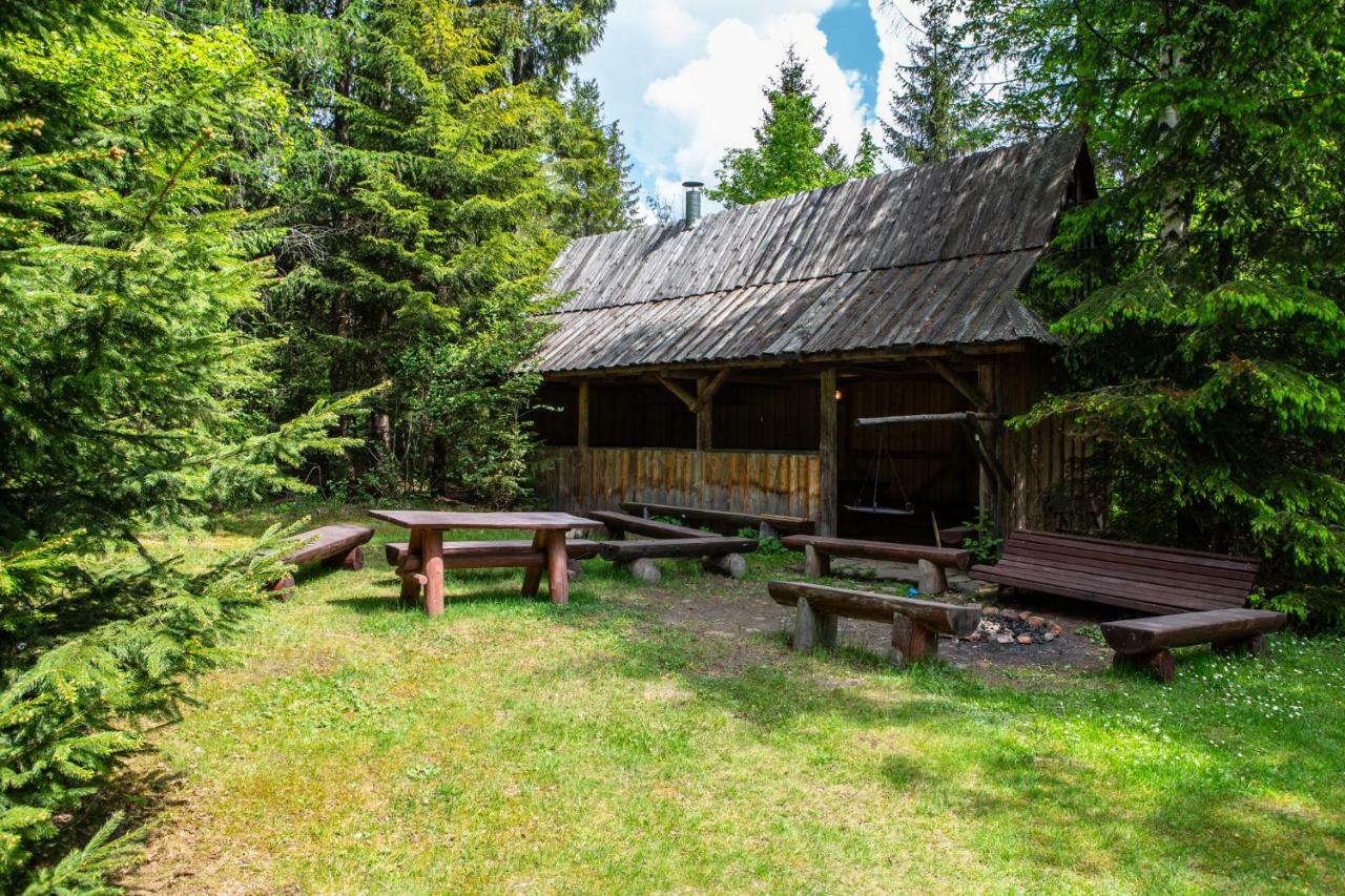 Pokoje Goscinne - Za Borem Zubrzyca Gorna Ngoại thất bức ảnh